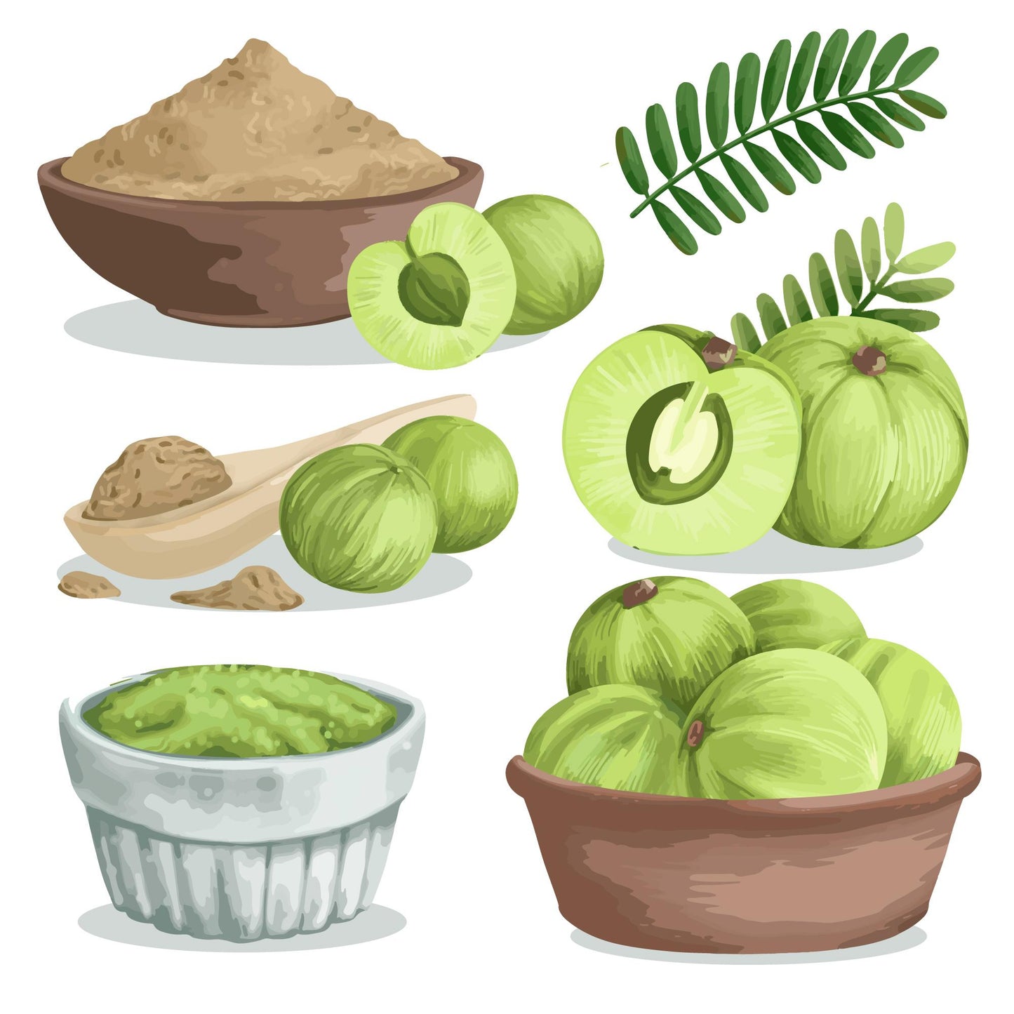 Amla, Beetroot, Caroot Milk Mix