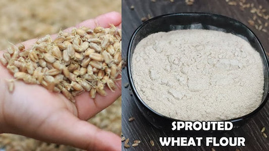 Sprouted Wheat Powder